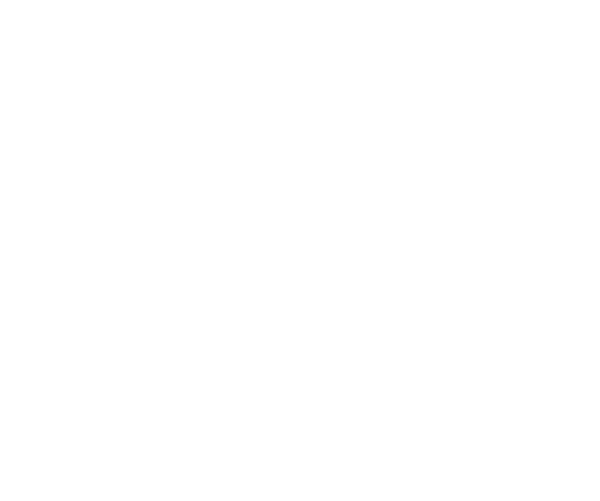 NitFitty